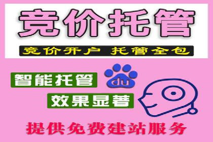 提升SEM效果：从数据看优化案例分析
