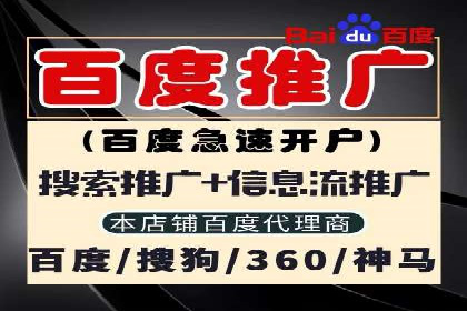 成功案例：网站sem托管如何影响销售数据